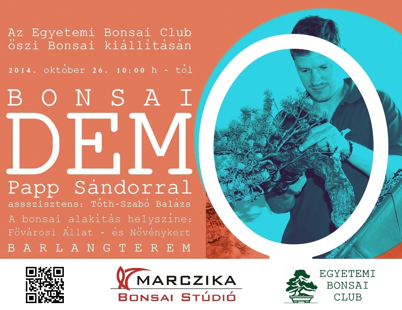 sandor papp, papp sandor, bonsai, marczika bonsai studio, erd, hungary, bonsai garden, taxus cuspidata, taxus papp sandor bonsai alakitasi bemutato az egyetemi bonsai club bonsai kialitasan